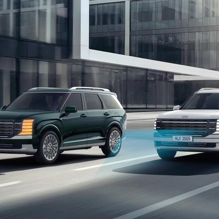 All New Palisade